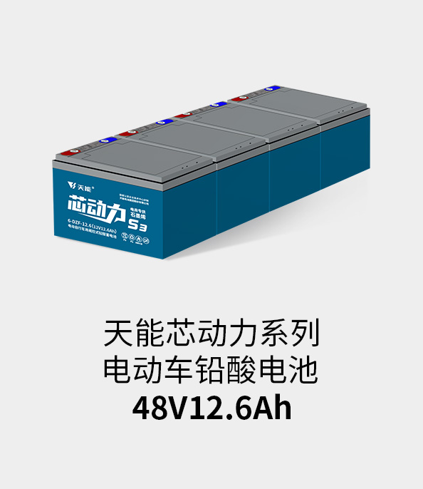 bg大游电池48v12ah
