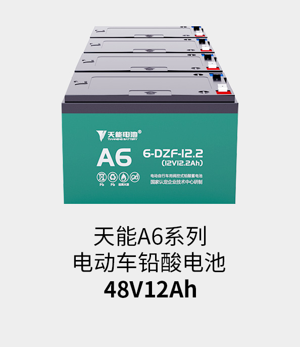 bg大游电池48v12ah