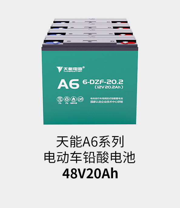 bg大游电池48v20ah
