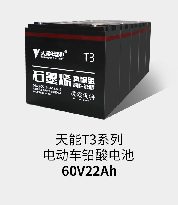 bg大游T3系列60v22ah